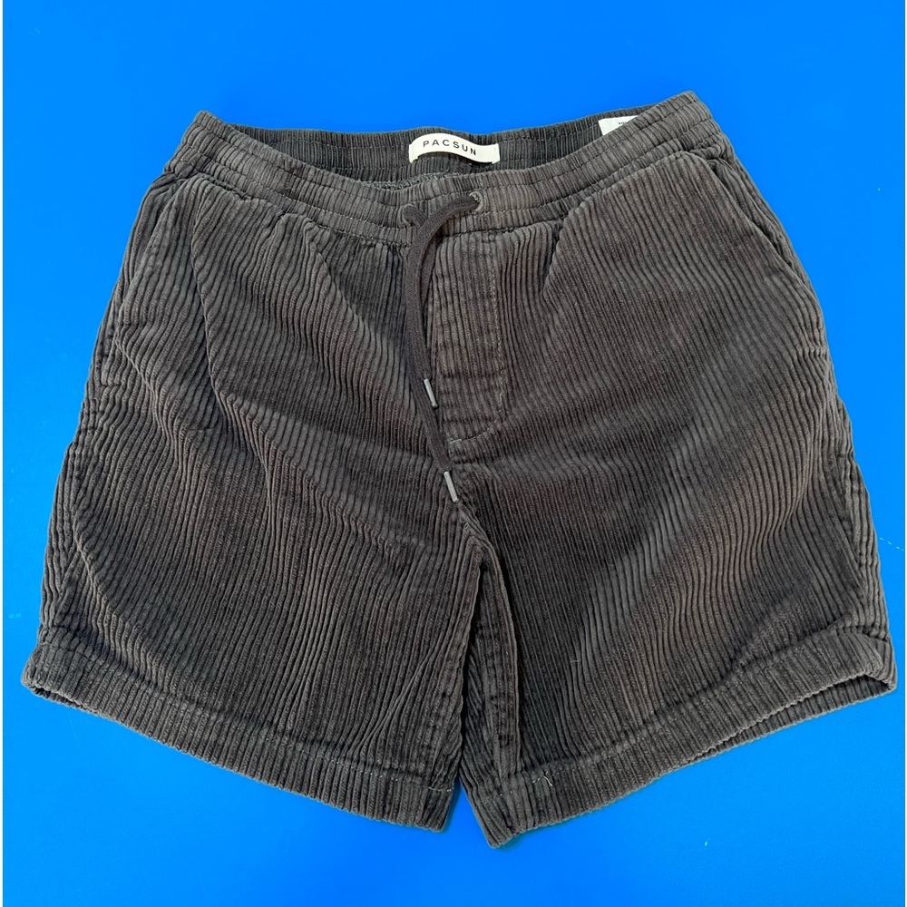 Pacsun Men’s Corduroy Volley Shorts. Size Small. Pristine.